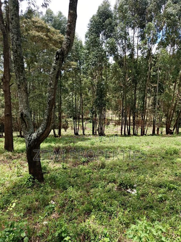 1/8 Acre Plot Matasia