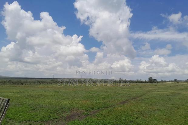 100 Acre's Kipeto, Kisearian-ngong