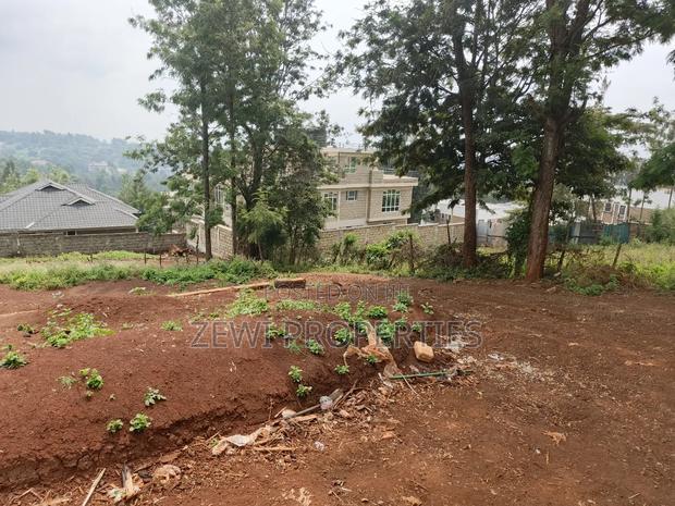 1/4 Acre Matasia