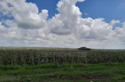 100 Acre's Kipeto, Kisearian-ngong