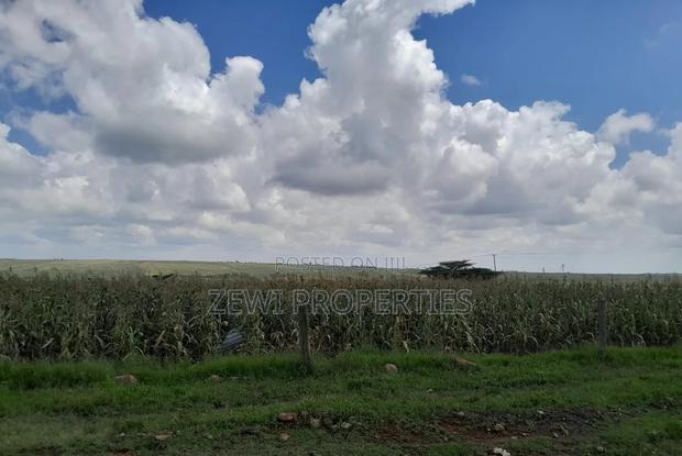 100 Acre's Kipeto, Kisearian-ngong
