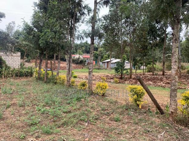 1/8 Kibiko-Ngong