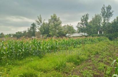 50*100 Serviced Plot's in Ngong Ololua Area