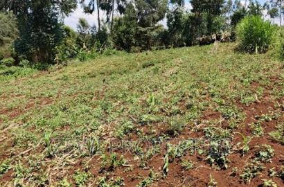 1/4 Acre Matasia