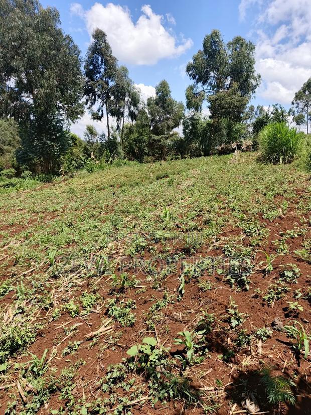 1/4 Acre Matasia