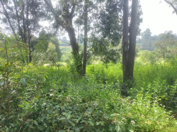 6 Acre's Karen