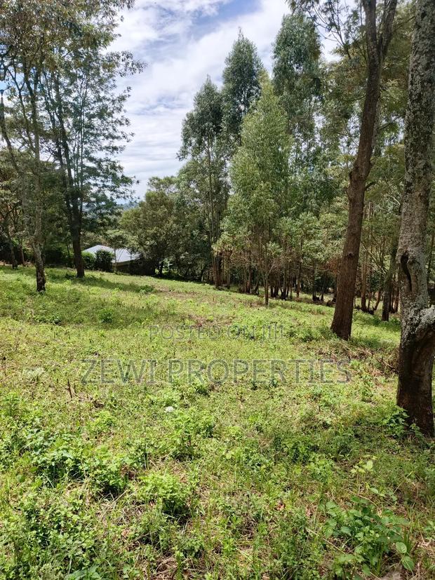 Quarter Acre Matasia