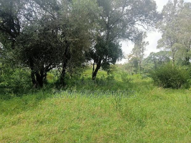 9 Acre Prime Hardy Karen