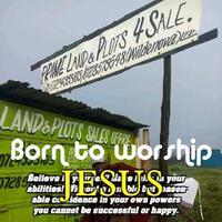 Wildenova Land agents