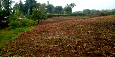 Plot at Bavuni-Kiamunyeki Nakuru - Image 2