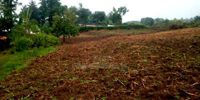 Plot at Bavuni-Kiamunyeki Nakuru - Image 1