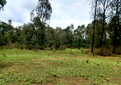 2.6-Acre Commercial Gem in Langata