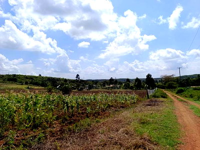 Prime 50 by 100ft Plots for Sale in Kikuyu,Ndiguini Area - Image 7