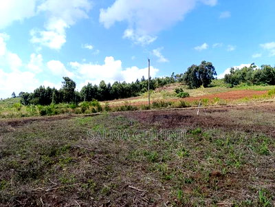 Prime 50 by 100ft Plots for Sale in Kikuyu,Ndiguini Area - Image 10