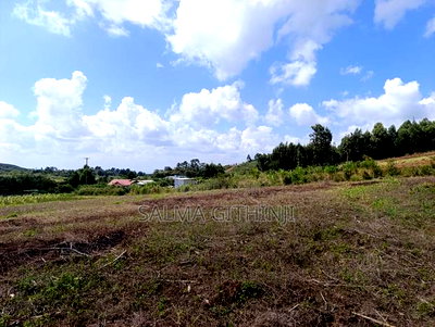 Prime 50 by 100ft Plots for Sale in Kikuyu,Ndiguini Area - Image 8
