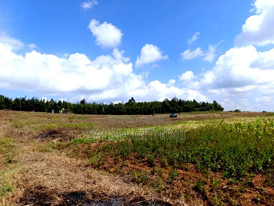 Prime 50 by 100ft Plots for Sale in Kikuyu,Ndiguini Area - Image 2