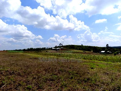 Prime 50 by 100ft Plots for Sale in Kikuyu,Ndiguini Area - Image 3