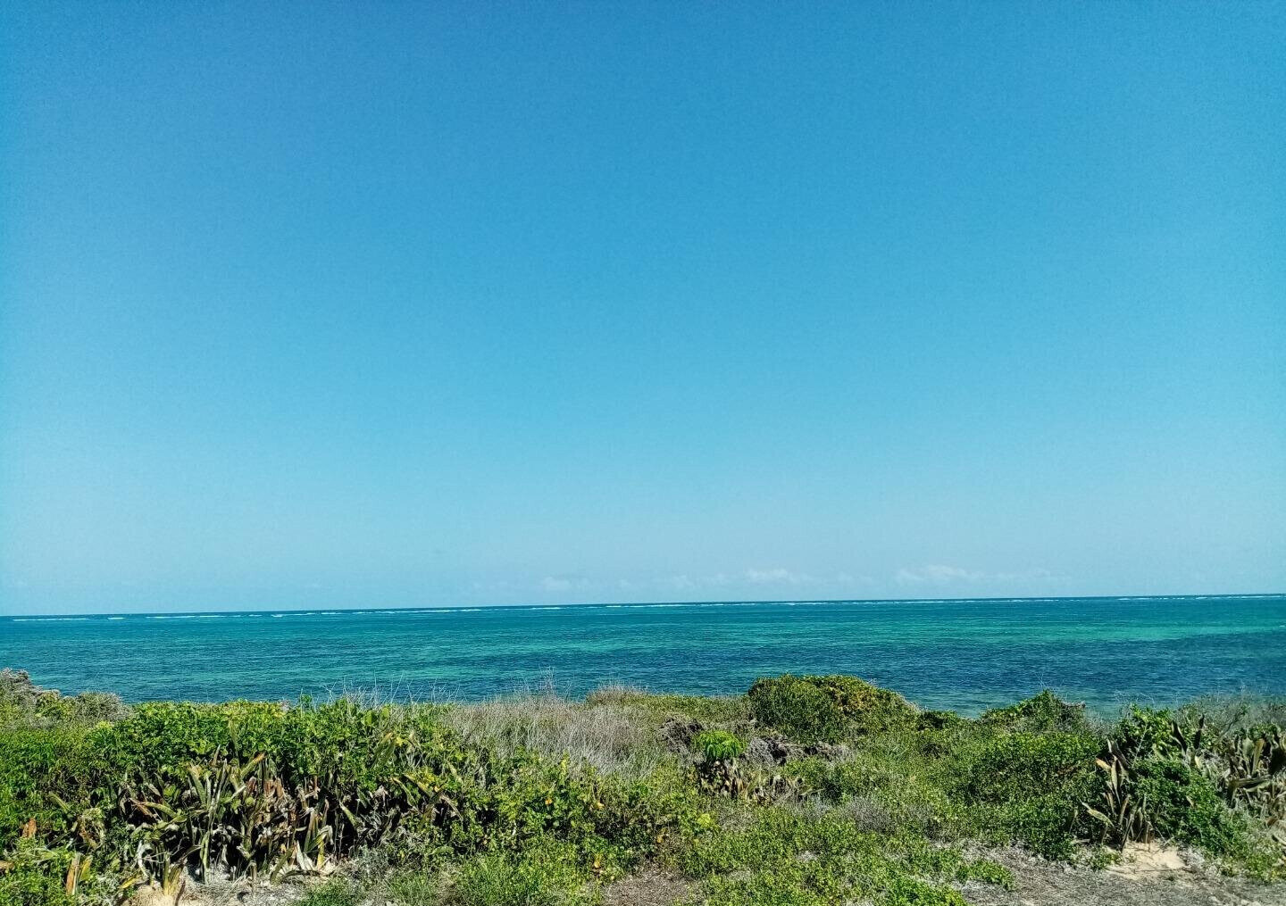 5-Acre Beachfront Plot in Malindi