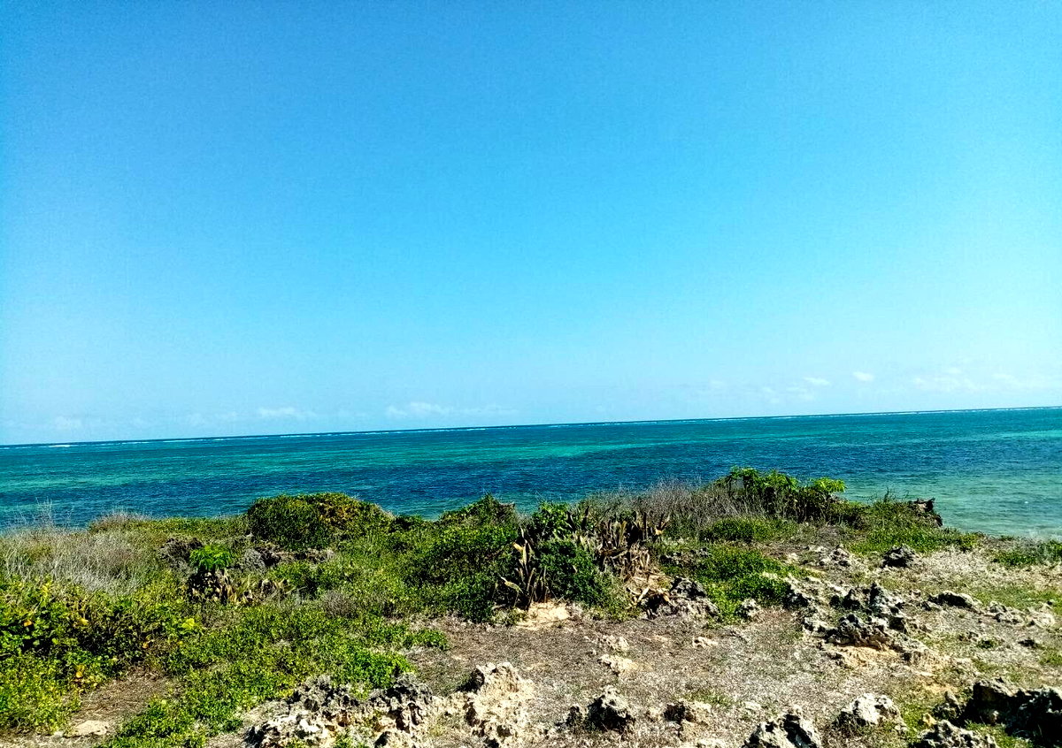5-Acre Beachfront Plot in Malindi
