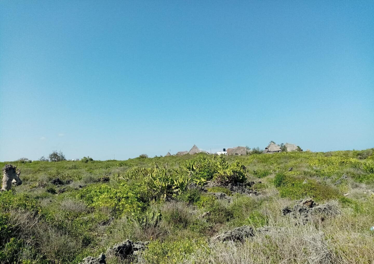 5-Acre Beachfront Plot in Malindi
