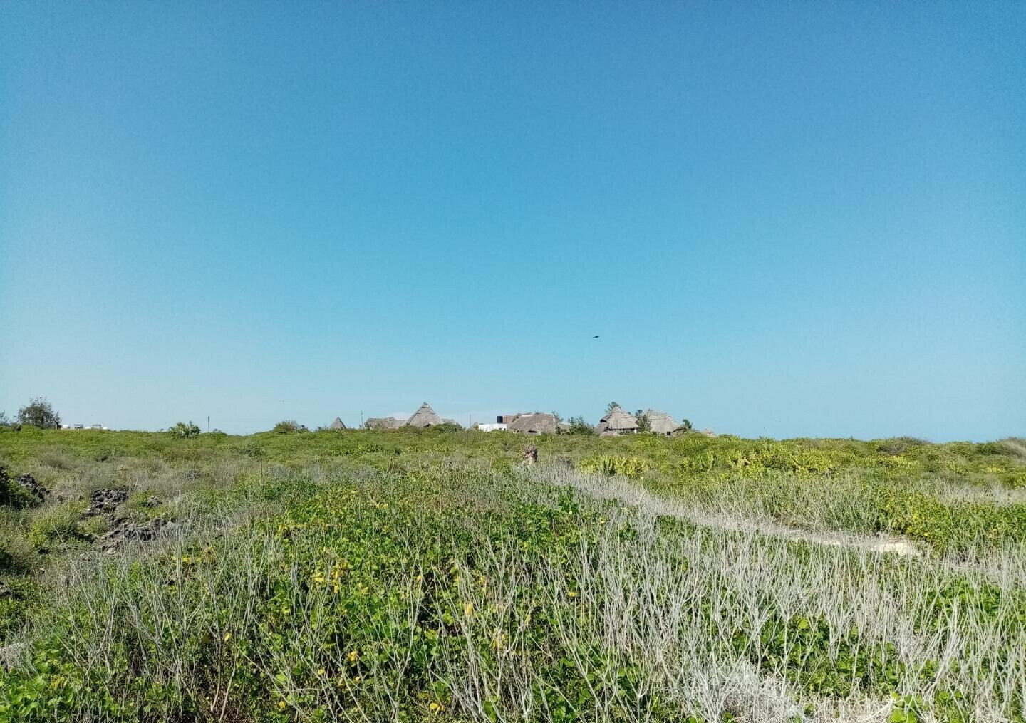 5-Acre Beachfront Plot in Malindi
