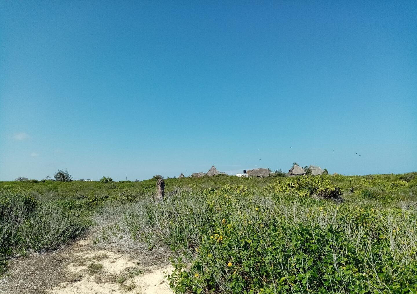 5-Acre Beachfront Plot in Malindi
