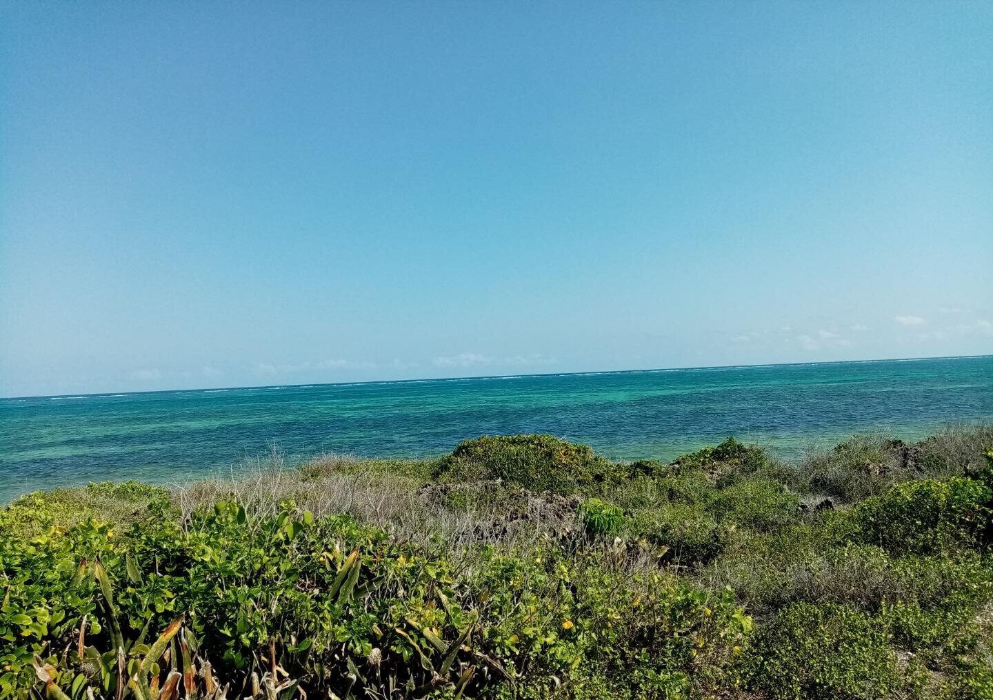 5-Acre Beachfront Plot in Malindi