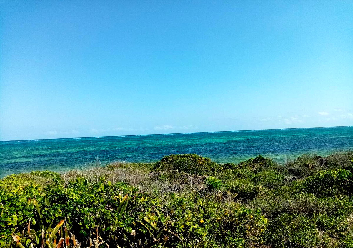 5-Acre Beachfront Plot in Malindi