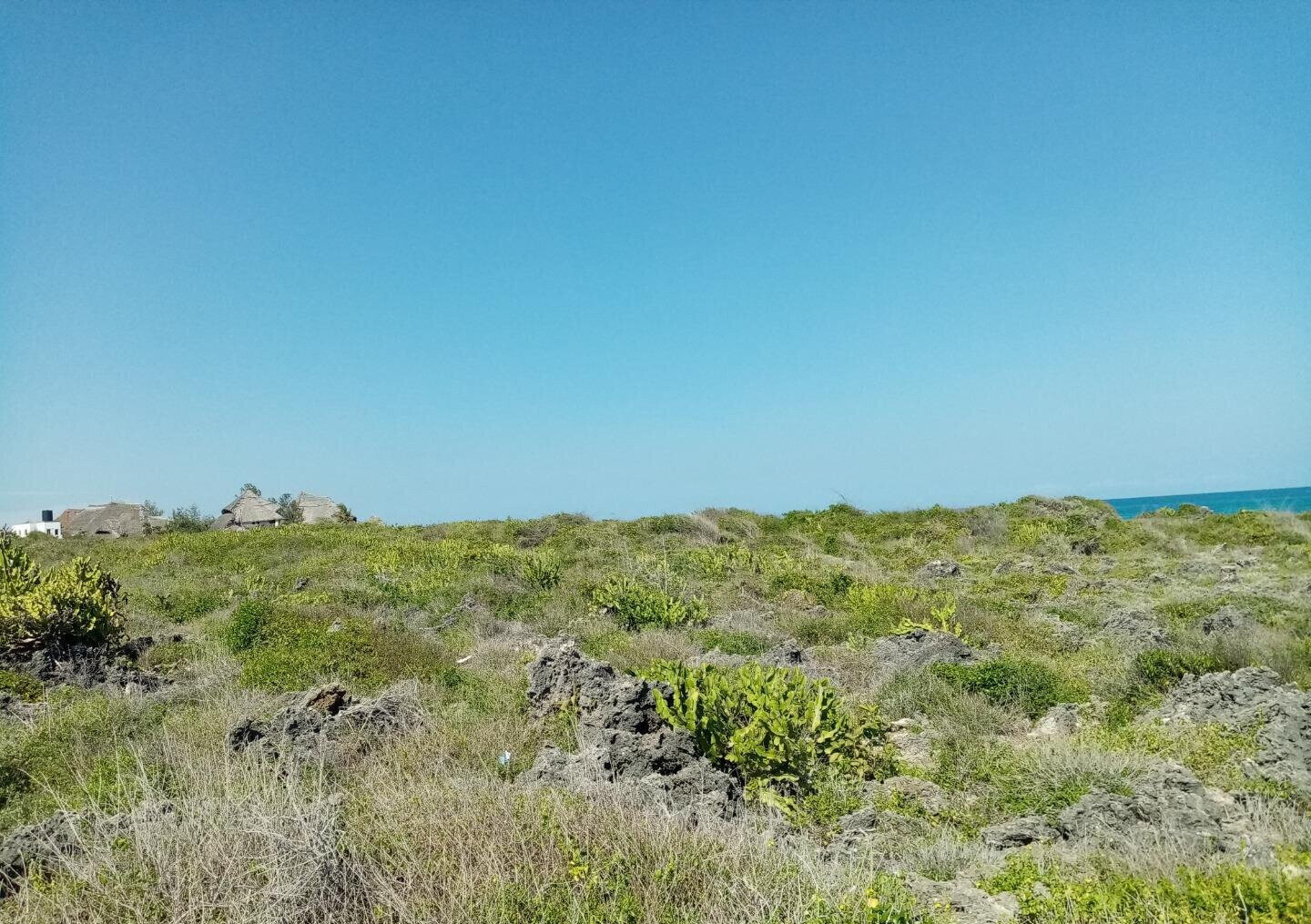 5-Acre Beachfront Plot in Malindi