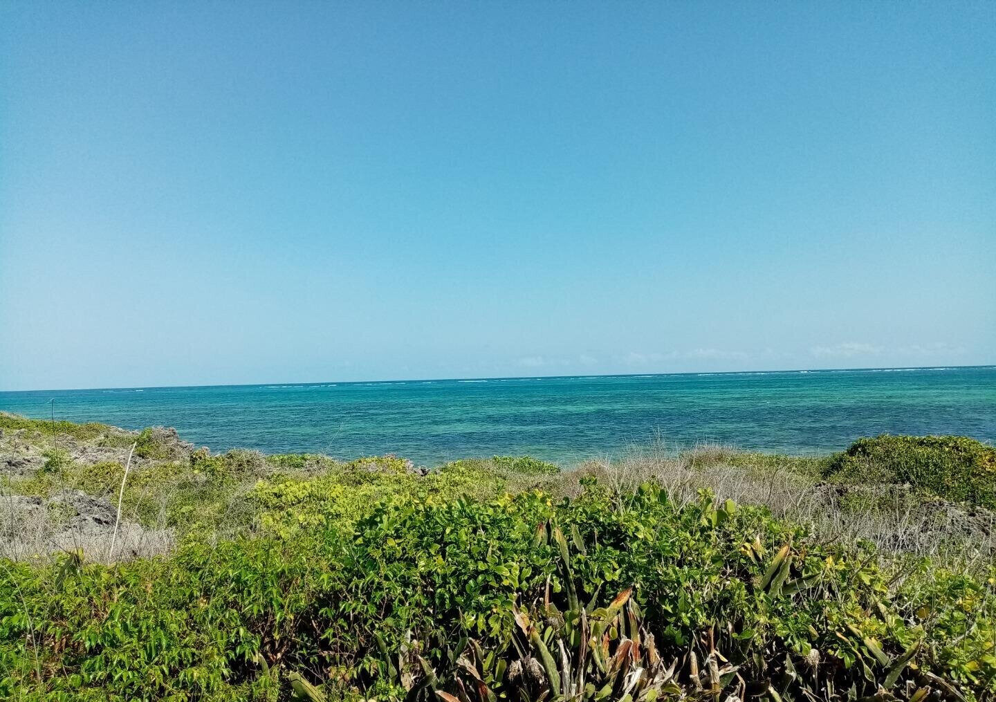 5-Acre Beachfront Plot in Malindi