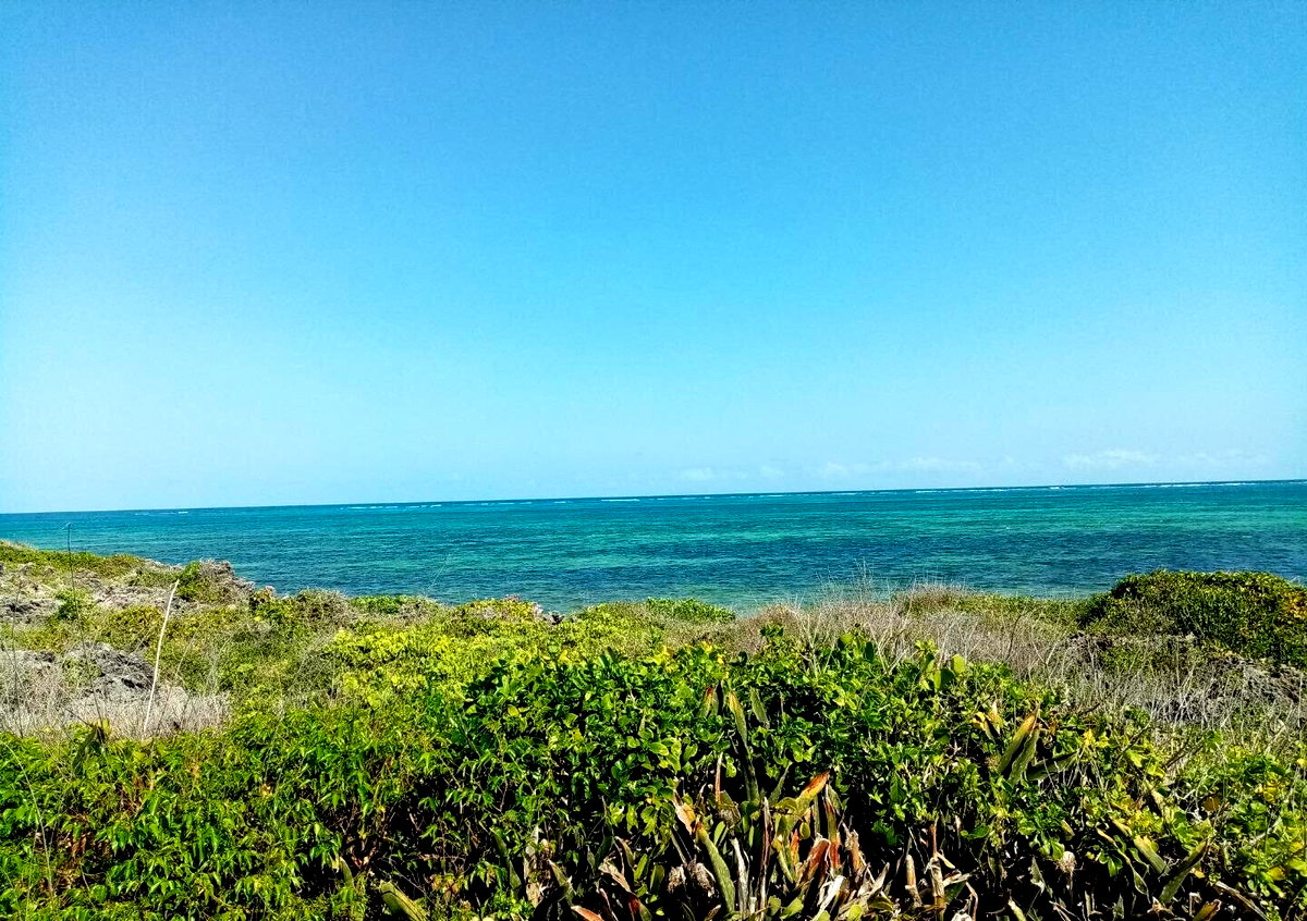 5-Acre Beachfront Plot in Malindi