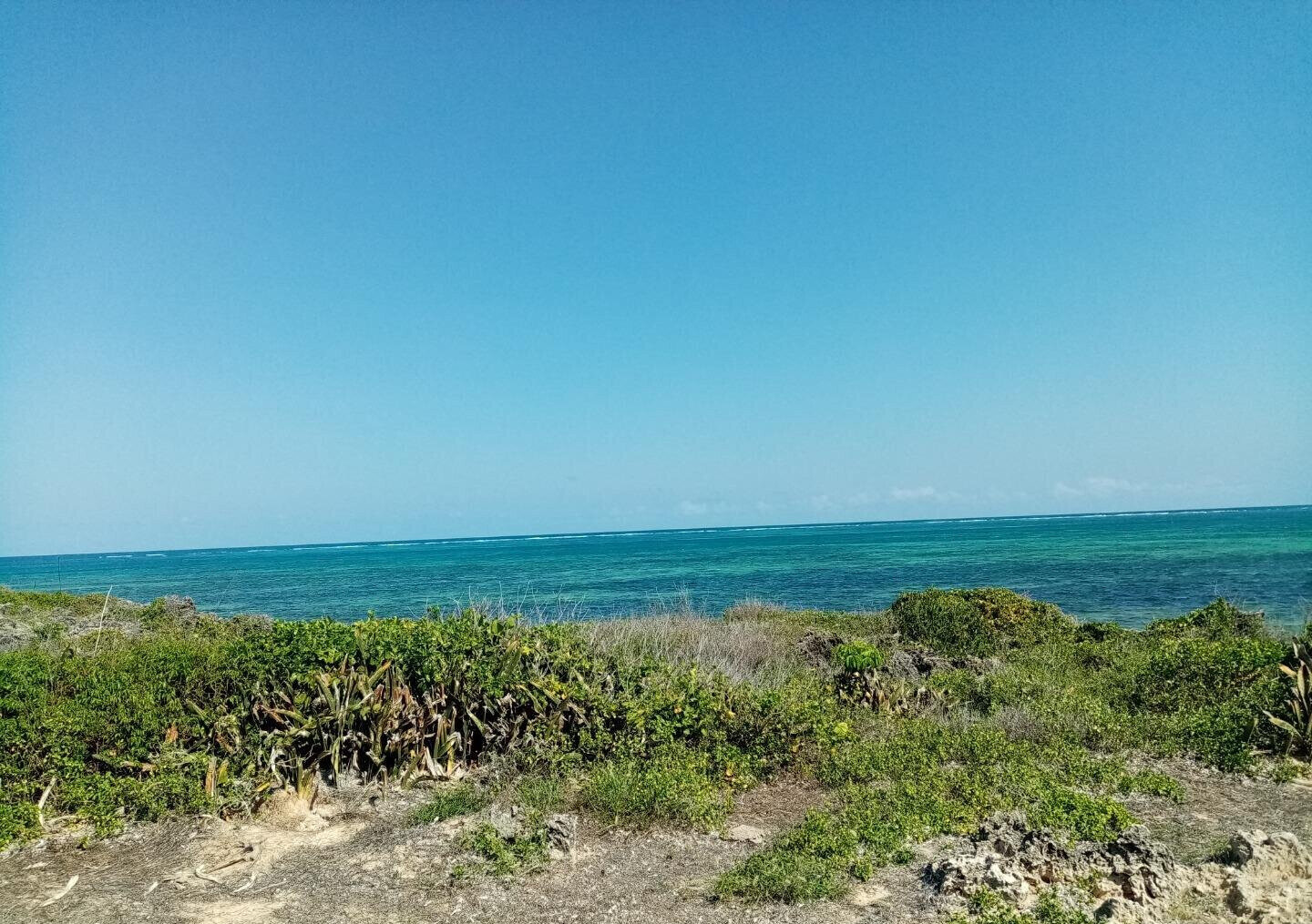 5-Acre Beachfront Plot in Malindi
