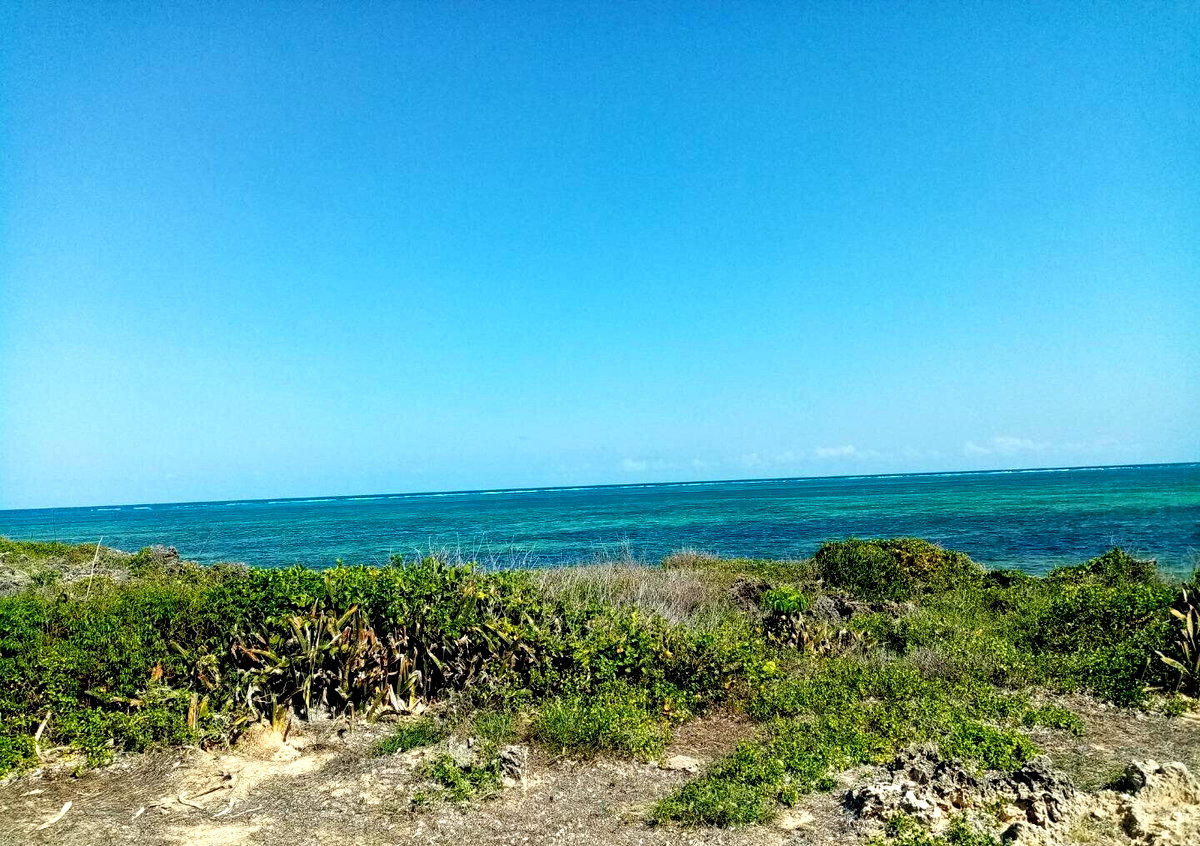 5-Acre Beachfront Plot in Malindi