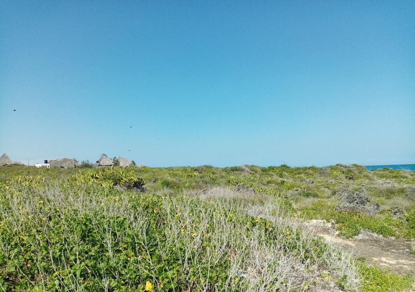 5-Acre Beachfront Plot in Malindi
