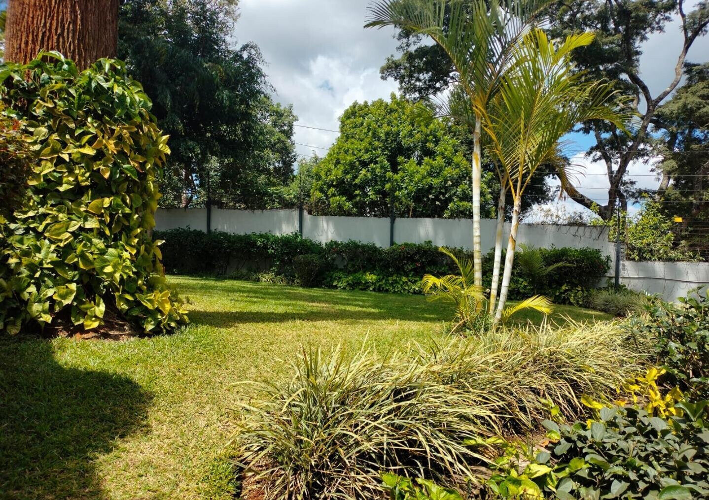 5-Ensuite Townhouse with Library & Pool - Spring Valley