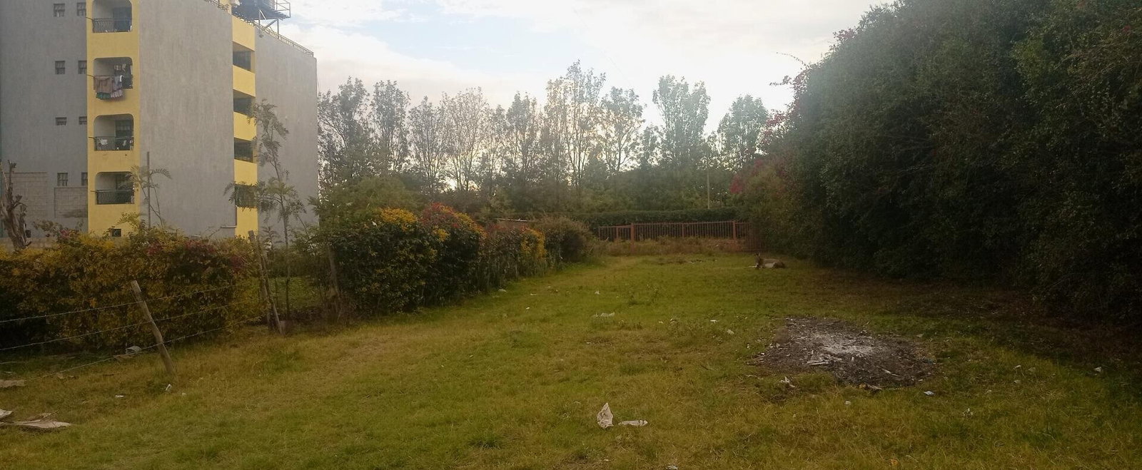 Quarter Acre Plot at KSh 14M