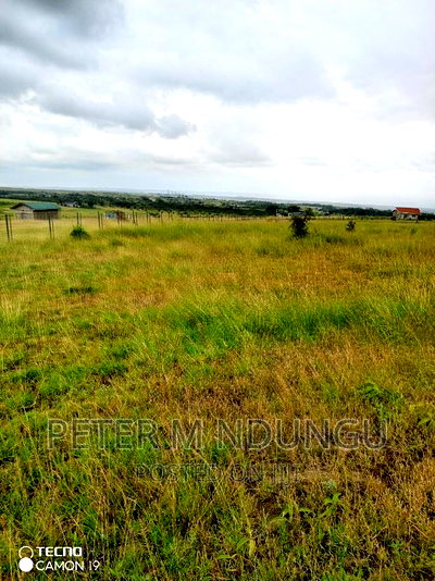 Plots on Sale, Joska - Image 3
