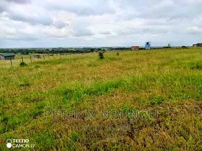 Plots on Sale, Joska - Image 4