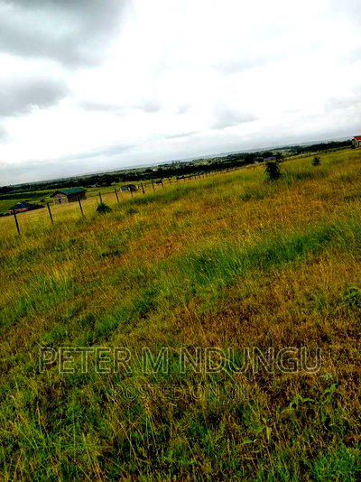 Plots on Sale, Joska - Image 5