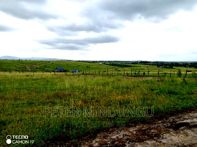 Plots on Sale, Joska - Image 8