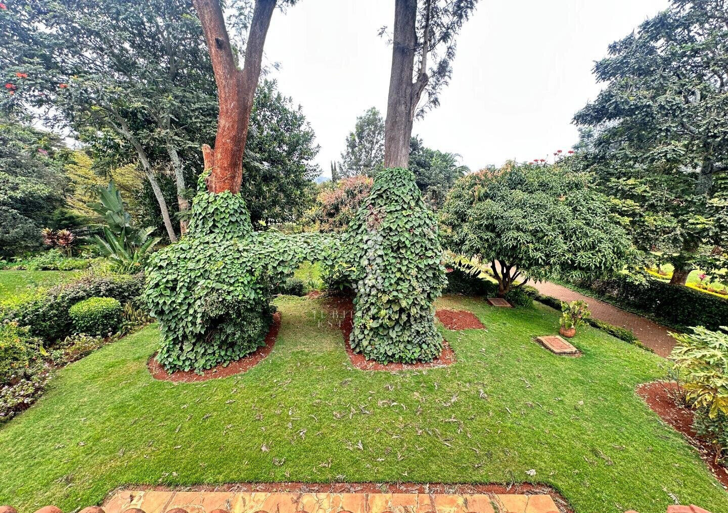 Half-Acre Townhouse with Mature Garden & Pool – Rosslyn