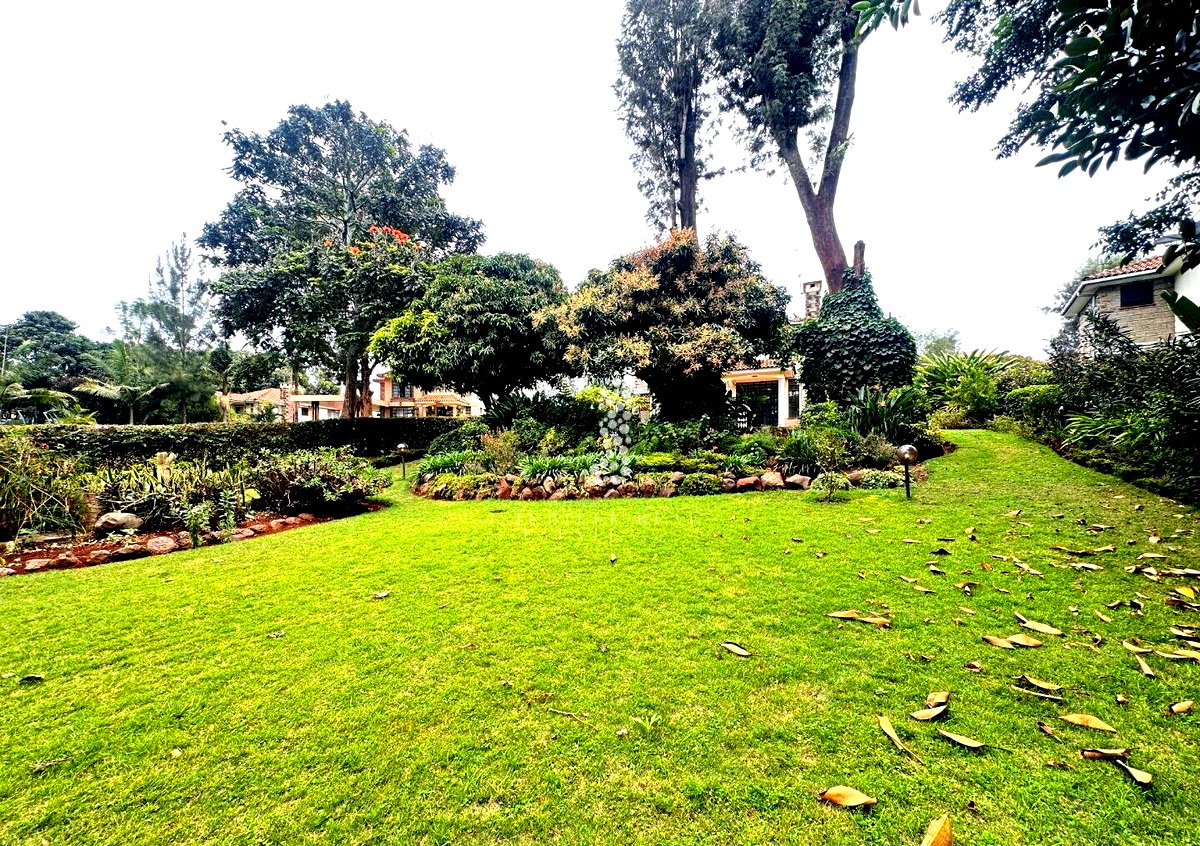 Half-Acre Townhouse with Mature Garden & Pool – Rosslyn
