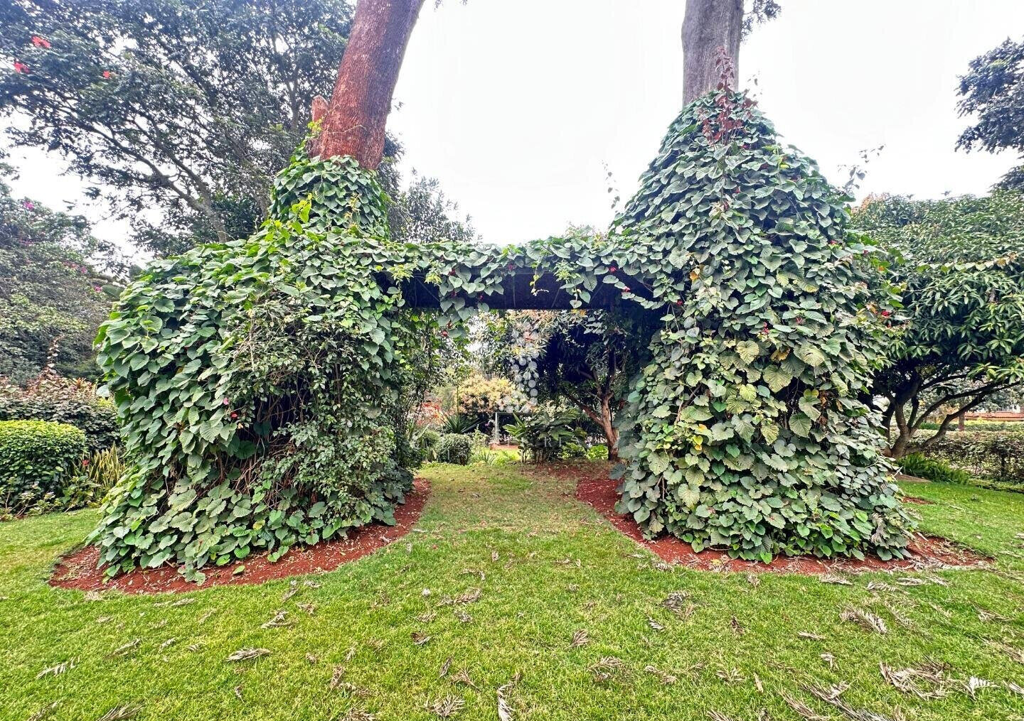 Half-Acre Townhouse with Mature Garden & Pool – Rosslyn