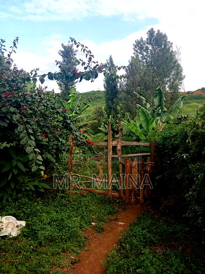 Prime 50*100 Ft Plot in Kiamumbi - Image 3