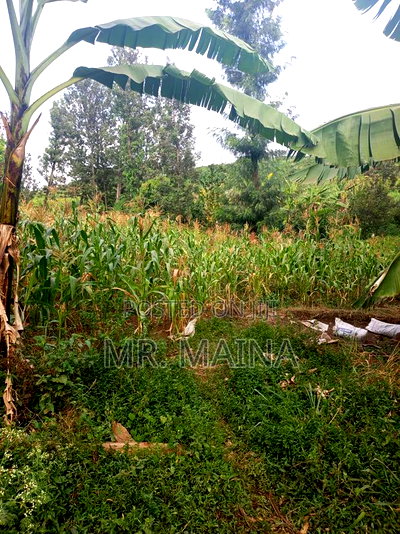 Prime 50*100 Ft Plot in Kiamumbi - Image 1