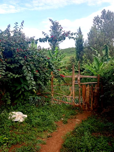 Prime 50*100 Ft Plot in Kiamumbi - Image 2