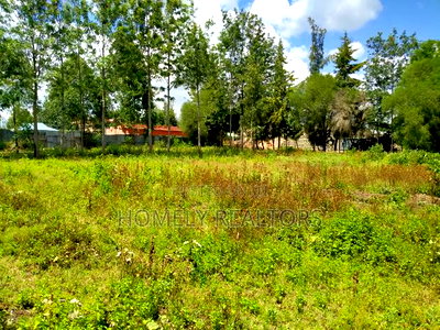 One Acre Piece of Land in Ngong, Merisho Rd Touching Tarmac - Image 5