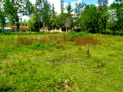 One Acre Piece of Land in Ngong, Merisho Rd Touching Tarmac - Image 3