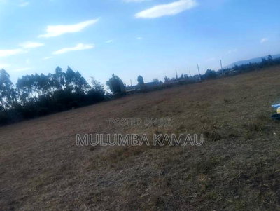 Prime 9-Acre Land for Sale in Nanyuki - Image 3