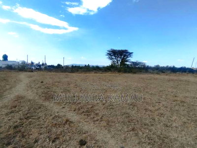 Prime 9-Acre Land for Sale in Nanyuki - Image 1